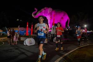 BIB: 
                            <button type="button" onclick="openModal(26552214)" class="btn btn-primary btn-sm float-right btn-popup" data-toggle="modal" data-target=".modal-high-quality">
                        <i class="fas fa-shopping-cart"></i> Add to Cart
                    </button>
                                            <button type="button" onclick="isThisMe(26552214, true)" class="btn btn-success btn-sm float-right btn-popup btn-isme hidden" data-toggle="tooltip" data-placement="bottom" title="นี่คือรูปของคุณใช่ไหม คลิกที่นี่เพื่อเอาเข้าอัลบั้ม">
                        <i class="fas fa-plus"></i> Add to album
                    </button>
                    <button type="button" onclick="isThisMe(26552214, false)" class="btn btn-warning btn-sm float-right btn-popup btn-isnotme hidden">
                        <i class="fas fa-ban"></i> Remove from album
                    </button>